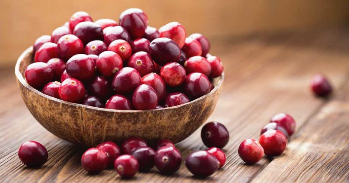 Consumo de cranberries diariamente ayuda a mejorar la memoria y salud mental en adultos mayores