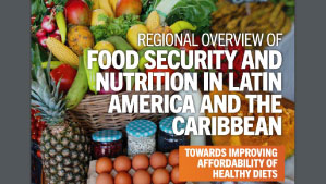 Informe ONU: 131 millones de personas en América Latina y el Caribe no pueden acceder a una dieta saludable