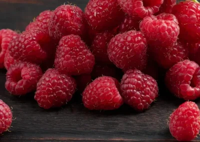 Serbia/Frambuesas: escasez de mano de obra y bajos precios provocan que agricultores talen huertos en principales zonas productivas
