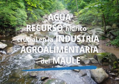 Quality Labs: El recurso hídrico es crucial en la industria agroalimentaria del Maule