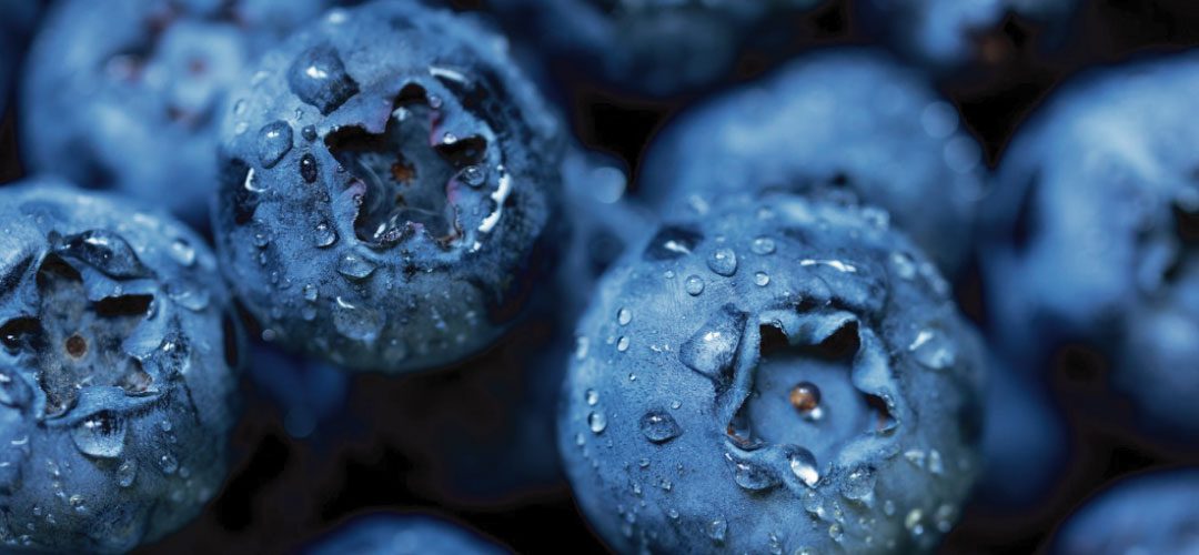 Arándanos/China: producción 2025 alcanzará 897.400 toneladas