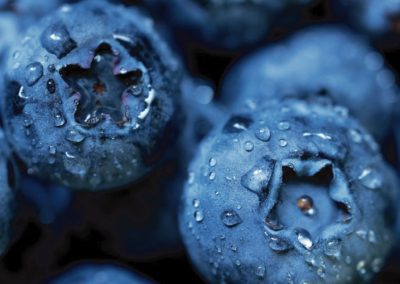 Arándanos/China: producción 2025 alcanzará 897.400 toneladas