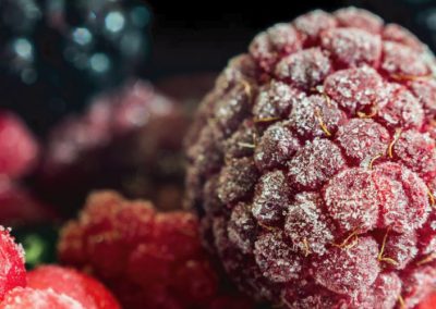 Polonia/Berries Congelados buenas señales antes de la temporada 2025