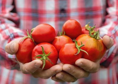 California/EE.UU: Se interrumpen subsidios agrícolas por nuevas medidas emitidas por Donald Trump
