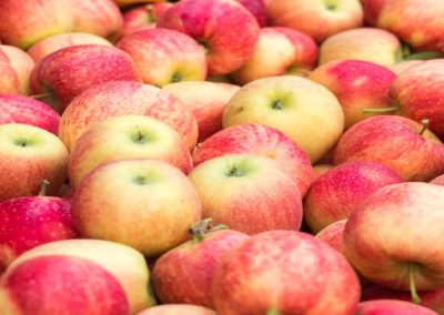 Polonia: se estabilizan precios de las manzanas para la industria