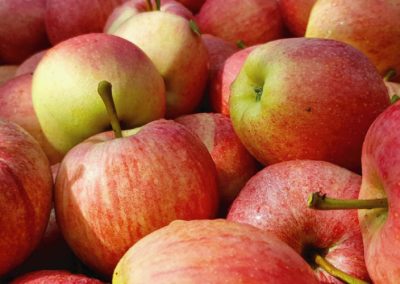 EE.UU./Manzanas: Stock actualizado a Marzo disminuye 5% respecto a mismo período año anterior