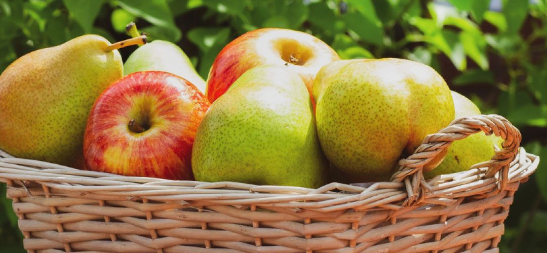Unión Europea: Stock de manzanas disminuye 5% y el de peras se reduce 1% a Febrero 2025