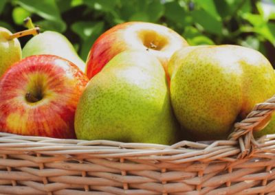 Unión Europea: Stock de manzanas disminuye 5% y el de peras se reduce 1% a Febrero 2025