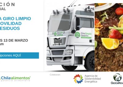Taller Virtual APL V: Programa Giro Limpio, Electromovilidad y Gestión de Residuos