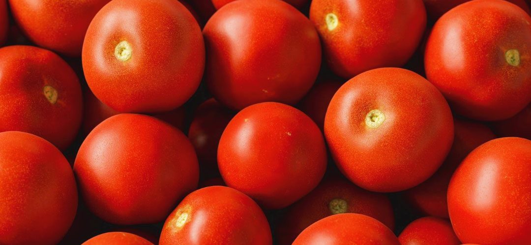 EE.UU./Industria del tomate: exportaciones alcanzaron US$ 933 millones en 2024