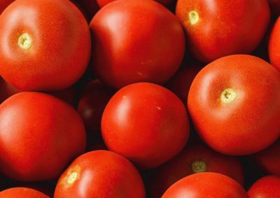 EE.UU./Industria del tomate: exportaciones alcanzaron US$ 933 millones en 2024