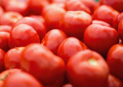 Tomate industrial: Panorama 20 principales importadores mundiales actualizado al 28 de febrero de 2025