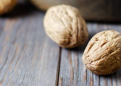Nueces/Chile: se espera una cosecha 2025/26 sobre 200 mil toneladas pero con calibres menores