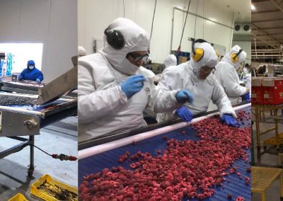 El Centro de Evaluación y Certificación de Competencias Laborales de Chilealimentos renueva su acreditación por tres años más