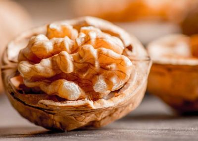 Nueces/Chile: ratifican crecimiento del 20% de la producción y estiman alcanzará 168 mil toneladas en año 2025