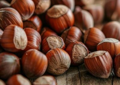 Avellanas/Chile: producción 2025 se estima alcance 90 mil toneladas