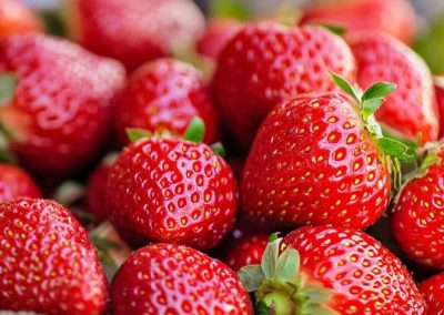 Chile/Frutillas: Alertan de enfermedad que puede causar severas pérdidas