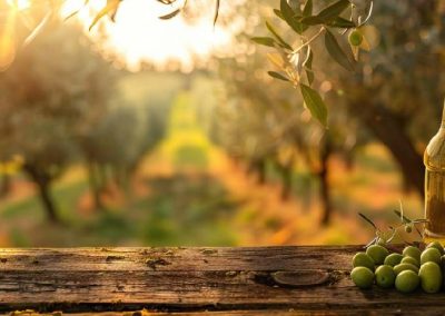 España: US$ 3,5 billones en exportaciones de alimentos se verán afectados por aranceles de Trump