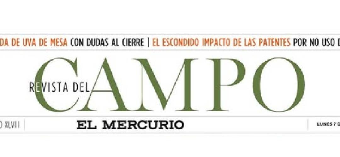 Revista del Campo: Chilealimentos y visión del gremio ante la coyuntura internacional por Aranceles de EE.UU.