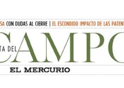 Revista del Campo: Chilealimentos y visión del gremio ante la coyuntura internacional por Aranceles de EE.UU.