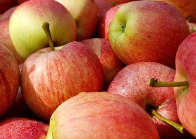 EE.UU/Manzanas: Stock a Abril 2025 disminuye 3% respecto al mismo período año anterior