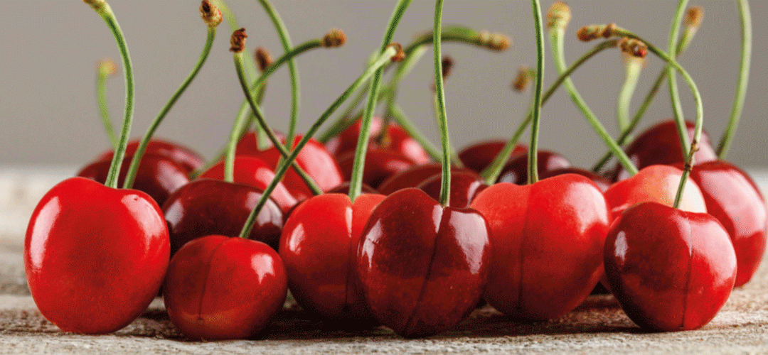 Chile/Cerezas: exportaciones se incrementarán 6% para la temporada 2025/26