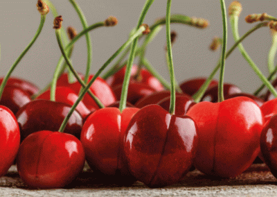 Chile/Cerezas: exportaciones se incrementarán 6% para la temporada 2025/26