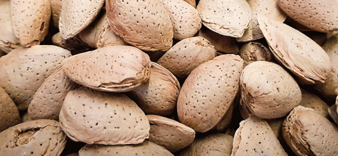 Australia/Almendras: Crecen exportaciones acumuladas hacia Tailandia (81%) y Turquía (35%) al primer trimestre 2025
