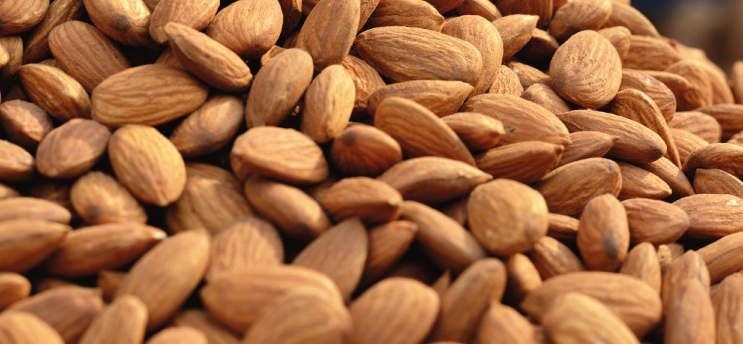 España/Almendras: primera estimación de cosecha sitúa en 127 mil ton la producción para 2025