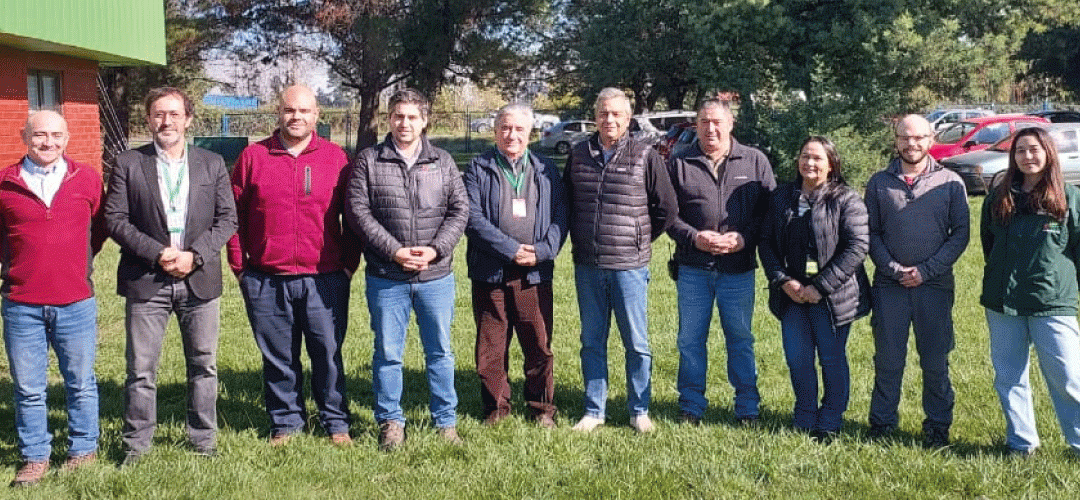 Chilealimentos/APL V: 15 plantas agroindustriales finalizan auditorías intermedias con  avances de metas del proyecto