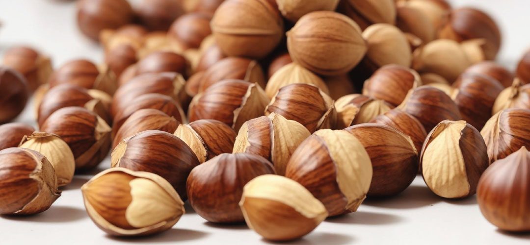 Turquía/Avellanas: Asociacion de agricultores sitúa en 450 mil la producción para la temporada 2025/26