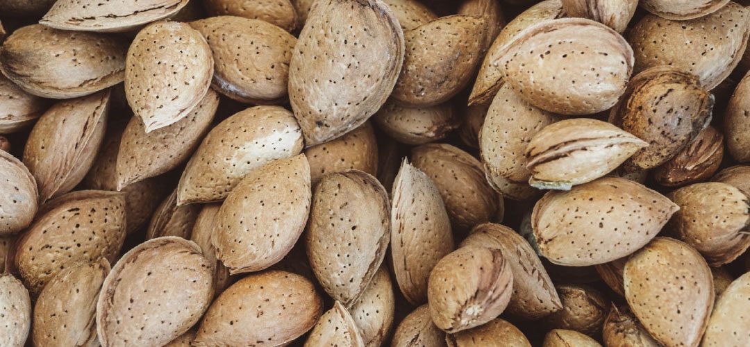 Almendras/California: Pronostican que la cosecha crecerá 3% y alcanzará 2.800 millones de libras en 2025