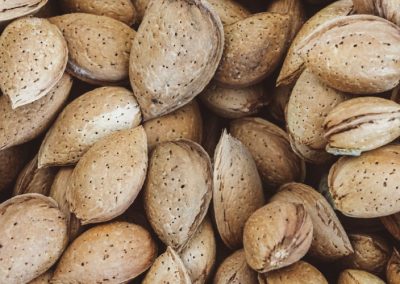 Almendras/California: Pronostican que la cosecha crecerá 3% y alcanzará 2.800 millones de libras en 2025