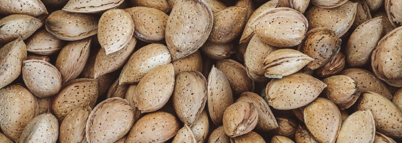 Almendras_lote_USA
