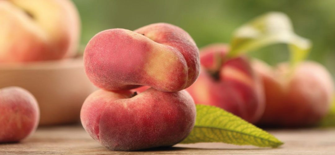 España/Aragón: Volumen cosechado de frutas crecería 3,4% en 2025