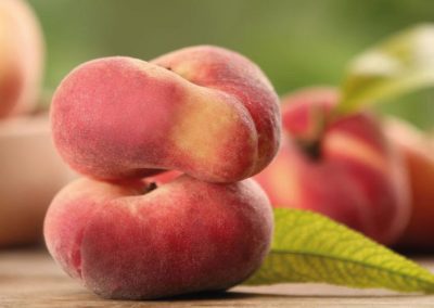 España/Aragón: Volumen cosechado de frutas crecería 3,4% en 2025