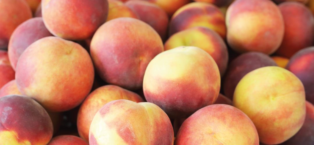 Unión Europea: La producción de duraznos y nectarines se reducirá 7% en 2025/26