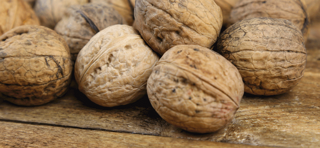 EE.UU: exportaciones de nueces con cáscara caen 58% en Enero – Abril 2025