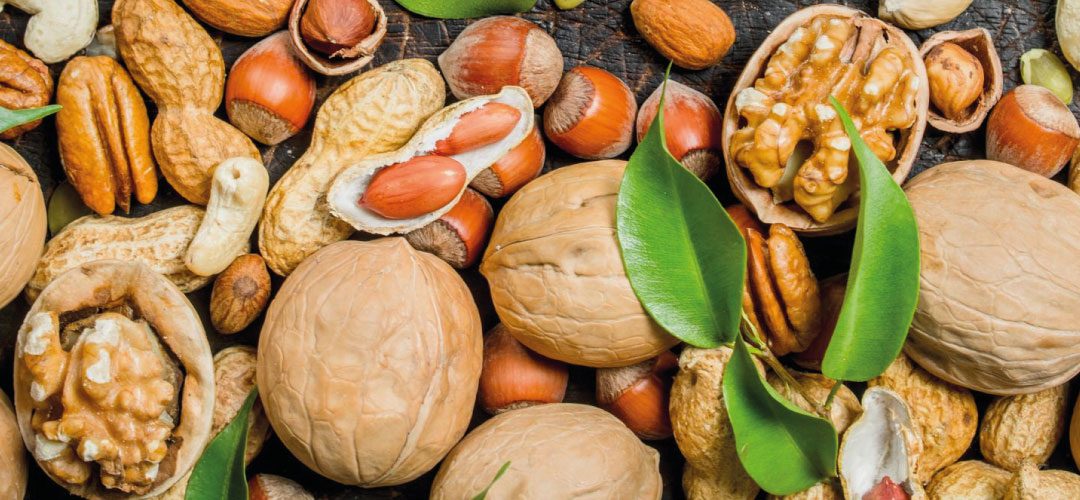 China/Frutos Secos: 10 destinos concentraron el 50% del valor exportado durante el primer trimestre del año