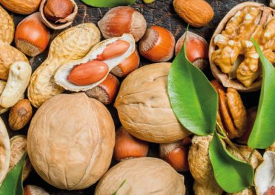 China/Frutos Secos: 10 destinos concentraron el 50% del valor exportado durante el primer trimestre del año