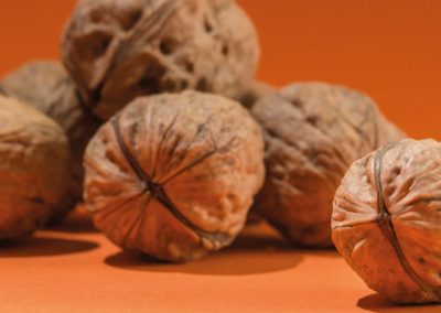 Nueces: Producción mundial 2025/26 crecerá 6% y alcanzará 2,8 billones de toneladas