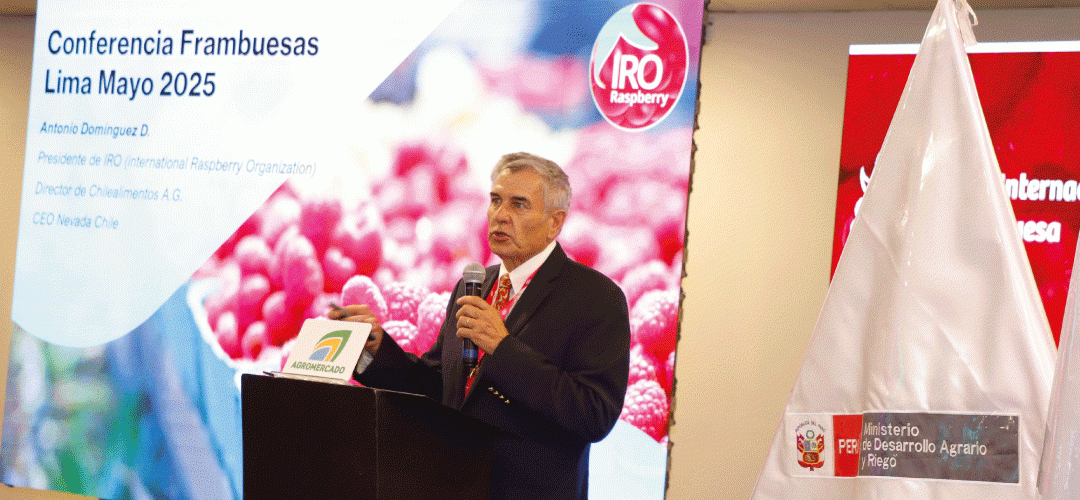 Director de Chilealimentos y Presidente del IRO Antonio Domínguez participó en foro internacional de la frambuesa en Lima
