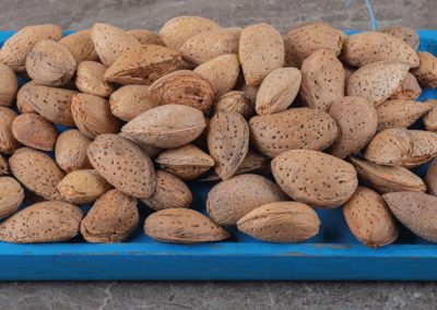 EE.UU/Almendras: exportaciones al mes de abril alcanzaron 109.316 toneladas