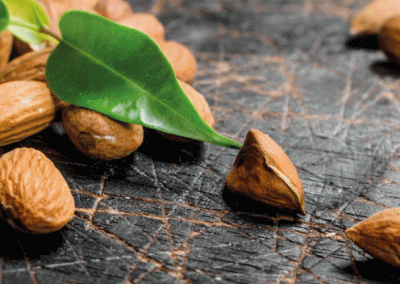 Almendras/Australia: crecen exportaciones al Reino Unido(254%) Malasia(180%) y China(128%) al primer bimestre 2025