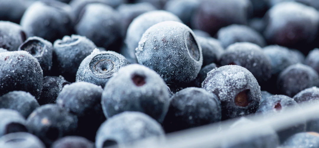 Congelados/Chile: Exportaciones de arándanos congelados convencionales crecen 42% en valor al primer cuatrimestre 2025