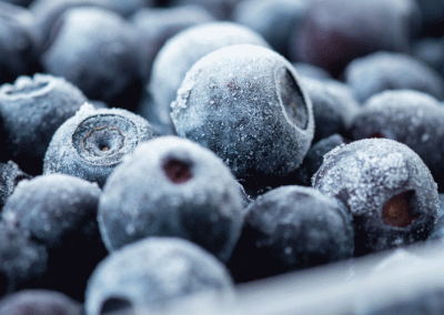 Chile/Congelados: Exportaciones de arándanos convencionales crecen 42% en valor al primer cuatrimestre 2025