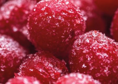 Cerezas Congeladas/Europa del Este: pronostican importantes mermas en Polonia, Ucrania y Turquía por recientes heladas