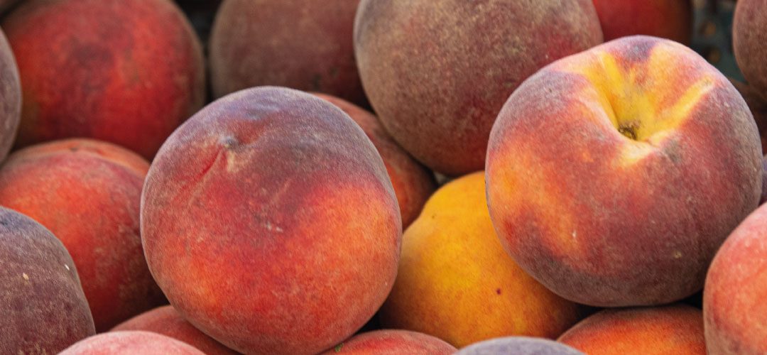 Francia/Duraznos: producción 2025/26 superará las 236 mil toneladas