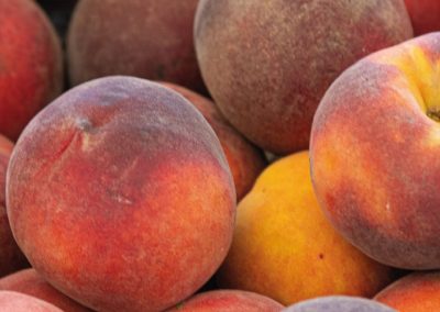 Francia/Duraznos: producción 2025/26 superará las 236 mil toneladas