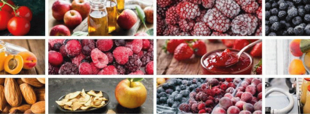 Exportaciones de frutas y hortalizas elaboradas acumuladas al mes de abril crecieron 16% en valor y volumen
